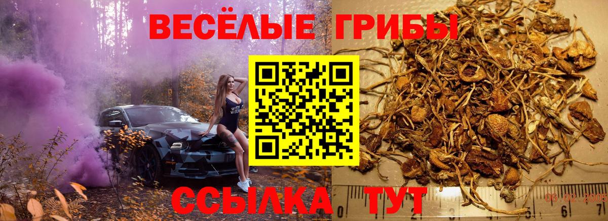 Галлюциногенные грибы Psilocybine cubensis  Вход с VPN  Алатырь  Галлюциногенные грибы GOLDEN TEACHER 