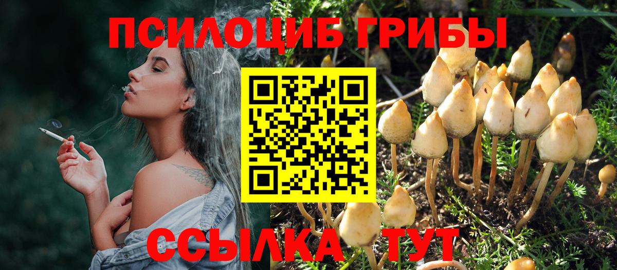 Псилоцибиновые грибы Magic Shrooms Алатырь